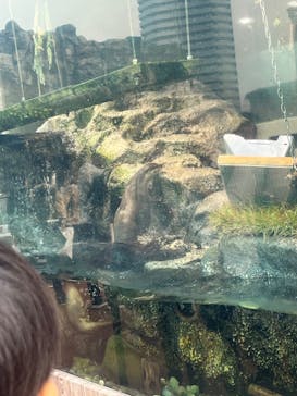 サンシャイン水族館に投稿された画像（2023/11/5）