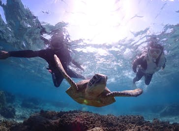 宮古島マリン GB QUESTに投稿された画像（2023/11/5）