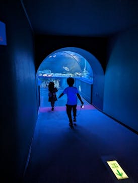 しながわ水族館に投稿された画像（2023/11/5）