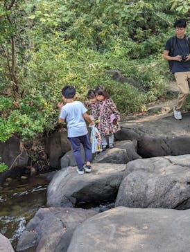 しながわ水族館に投稿された画像（2023/11/5）
