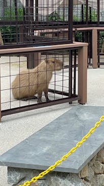 沖縄こどもの国に投稿された画像（2023/11/5）