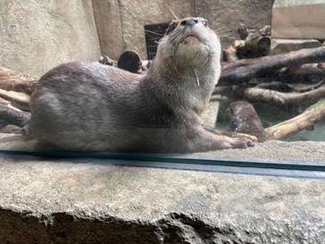 沖縄こどもの国に投稿された画像（2023/11/5）