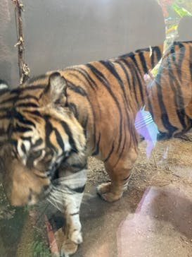 名古屋市東山動植物園に投稿された画像（2023/11/5）