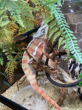 NARA IKIMONO MUSEUMに投稿された画像（2023/11/5）