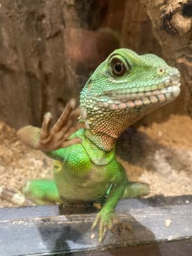 NARA IKIMONO MUSEUMに投稿された画像（2023/11/5）