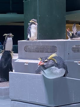 AOAO SAPPOROに投稿された画像（2023/11/5）