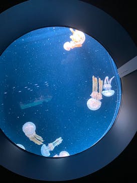 AOAO SAPPOROに投稿された画像（2023/11/5）