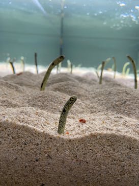 AOAO SAPPOROに投稿された画像（2023/11/5）