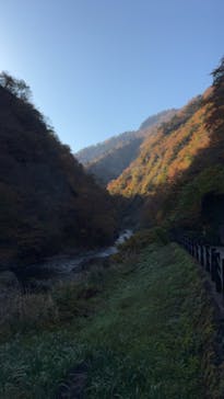 清津峡渓谷トンネルに投稿された画像（2023/11/5）