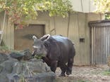 名古屋市東山動植物園に投稿された画像（2023/11/5）