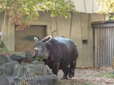 名古屋市東山動植物園に投稿された画像（2023/11/5）