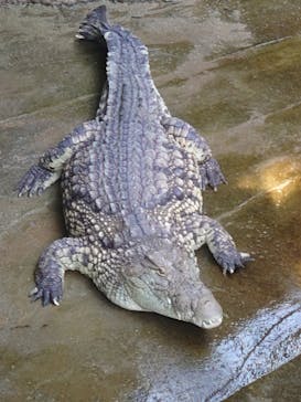 名古屋市東山動植物園に投稿された画像（2023/11/5）