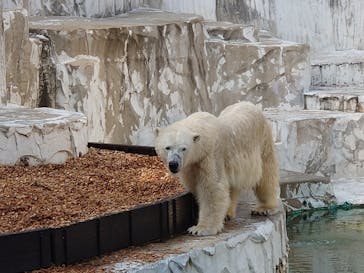 名古屋市東山動植物園に投稿された画像（2023/11/5）