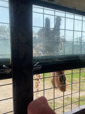 那須サファリパークに投稿された画像（2023/11/5）