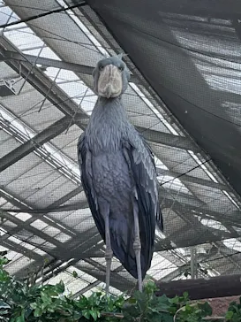 神戸どうぶつ王国に投稿された画像（2023/11/5）