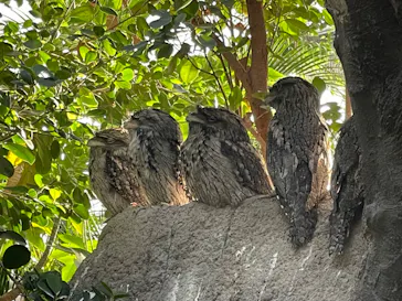 神戸どうぶつ王国に投稿された画像（2023/11/5）