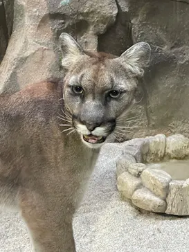 神戸どうぶつ王国に投稿された画像（2023/11/5）