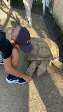 神戸どうぶつ王国に投稿された画像（2023/11/5）