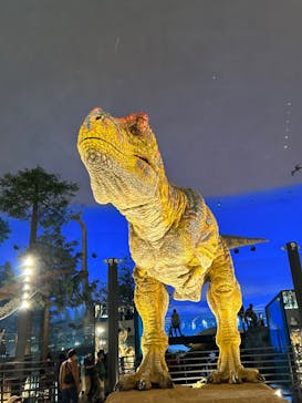 福井県立恐竜博物館に投稿された画像（2023/11/5）