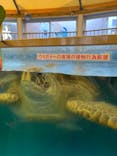 越前松島水族館に投稿された画像（2023/11/5）