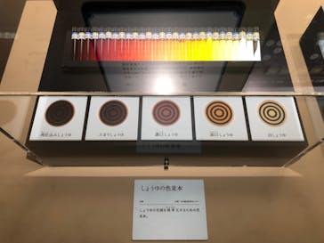 特別展「和食 ～日本の自然、人々の知恵～」に投稿された画像（2023/11/5）