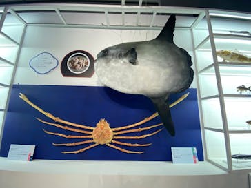 特別展「和食 ～日本の自然、人々の知恵～」に投稿された画像（2023/11/5）