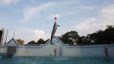 しながわ水族館に投稿された画像（2023/11/5）