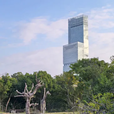 天王寺動物園に投稿された画像（2023/11/5）