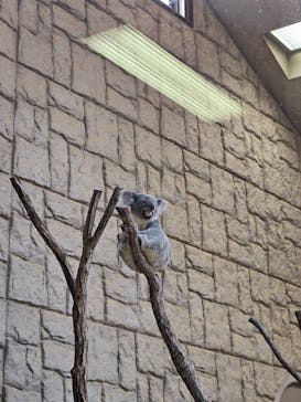 名古屋市東山動植物園に投稿された画像（2023/11/5）