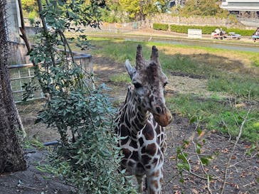 名古屋市東山動植物園に投稿された画像（2023/11/5）