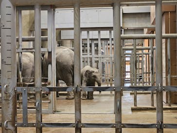 名古屋市東山動植物園に投稿された画像（2023/11/5）