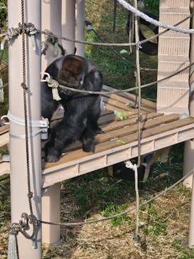 名古屋市東山動植物園に投稿された画像（2023/11/5）