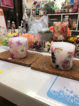 ずこうしつ〜sugamo〜に投稿された画像（2023/11/5）