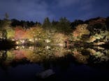 国営昭和記念公園 秋の夜散歩に投稿された画像（2023/11/5）
