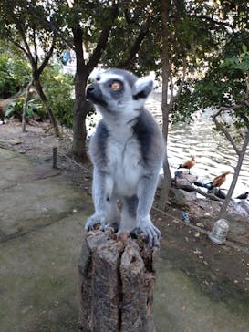 株式会社Gに投稿された画像（2023/11/5）