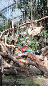 株式会社Gに投稿された画像（2023/11/5）