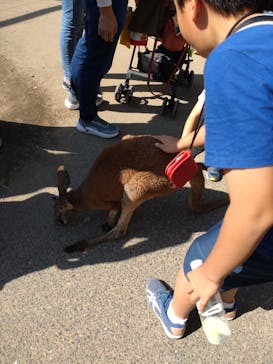 株式会社Gに投稿された画像（2023/11/5）