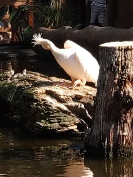 株式会社Gに投稿された画像（2023/11/5）