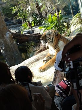 株式会社Gに投稿された画像（2023/11/5）