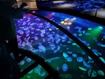 すみだ水族館に投稿された画像（2023/11/5）