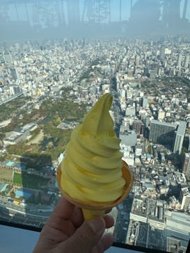 ハルカス300(展望台)に投稿された画像（2023/11/5）