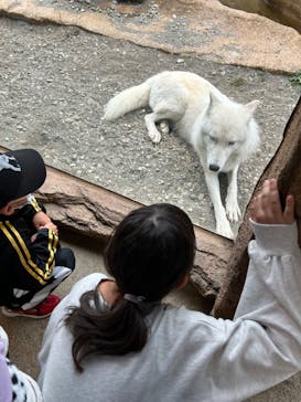 那須どうぶつ王国に投稿された画像（2023/11/5）