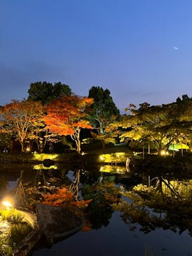 国営昭和記念公園 秋の夜散歩に投稿された画像（2023/11/5）