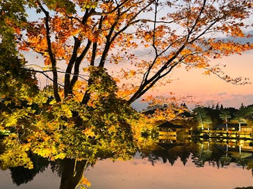 国営昭和記念公園 秋の夜散歩に投稿された画像（2023/11/5）