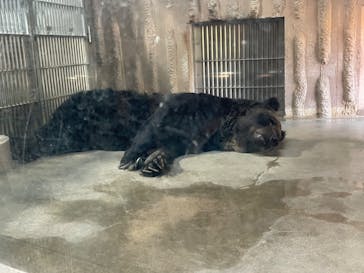 名古屋市東山動植物園に投稿された画像（2023/11/5）