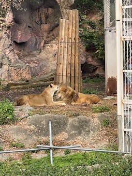 名古屋市東山動植物園に投稿された画像（2023/11/5）