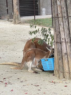 名古屋市東山動植物園に投稿された画像（2023/11/5）