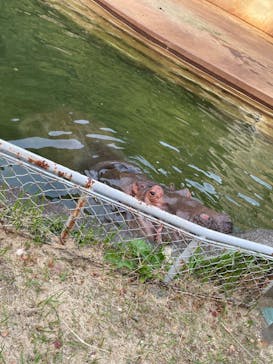 名古屋市東山動植物園に投稿された画像（2023/11/5）