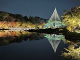 国営昭和記念公園 秋の夜散歩に投稿された画像（2023/11/5）
