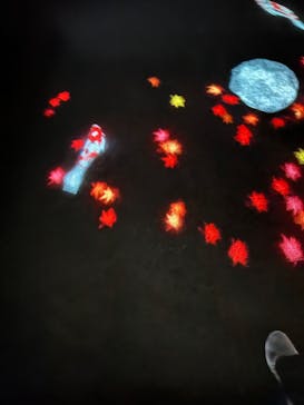 国営昭和記念公園 秋の夜散歩に投稿された画像（2023/11/5）